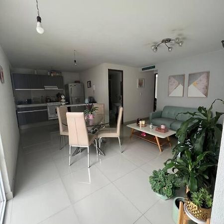 Departamento En Coyoacan مدينة مكسيكو المظهر الخارجي الصورة